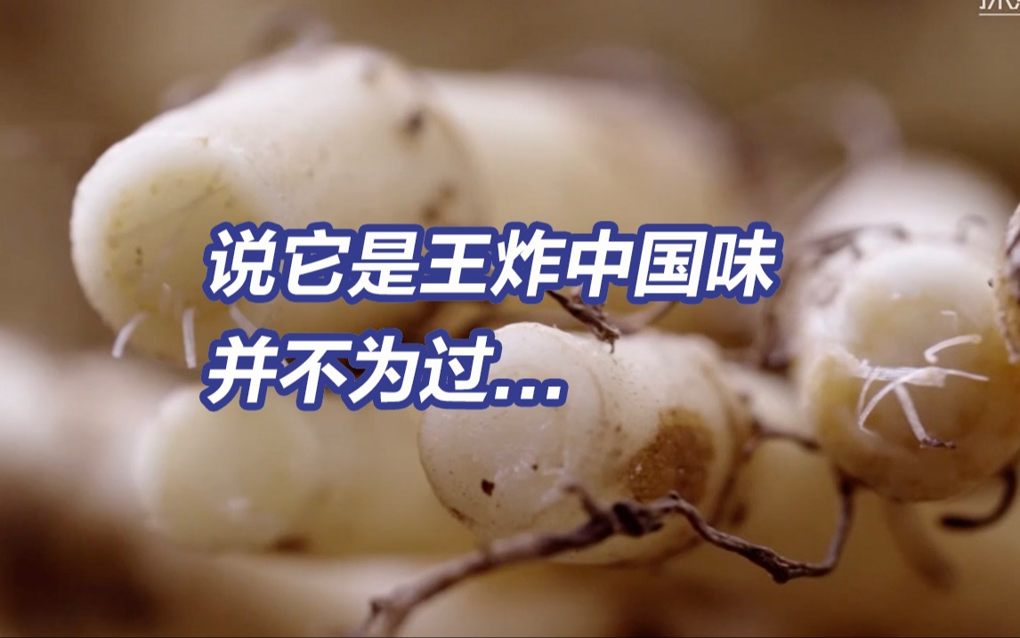 号称让整个东三省沉默！折耳根到底有啥魅（kě)力（pà)