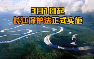 《长江保护法》正式实施