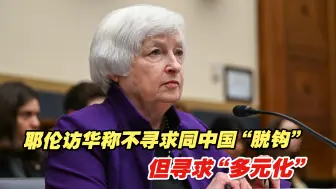 耶伦访华称美不寻求同中国“脱钩”，但寻求“多元化”，专家解读