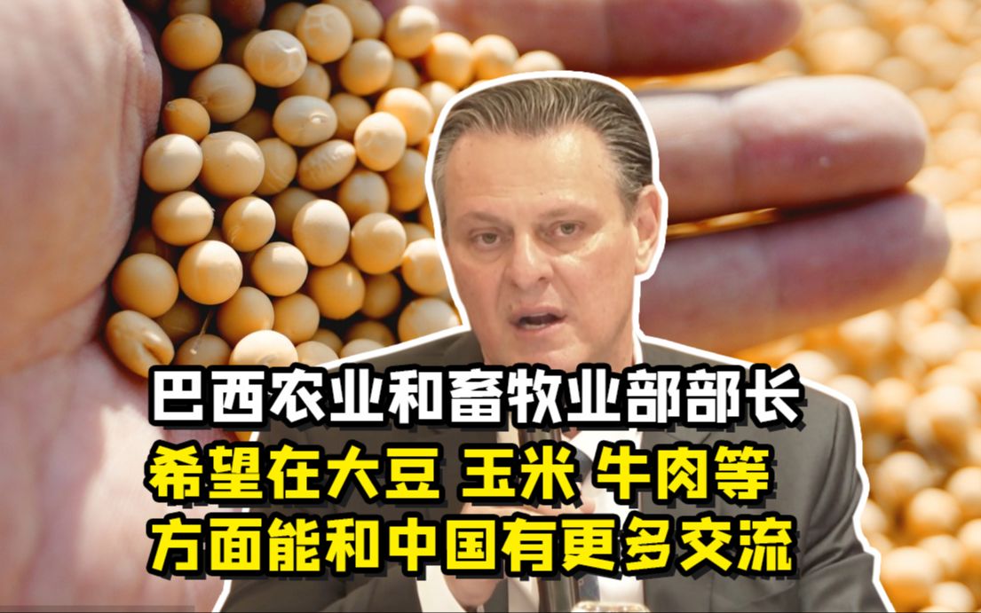 聚焦三农丨巴西农业和畜牧业部部长：希望在大豆 玉米 牛肉等方面能和中国有更多交流