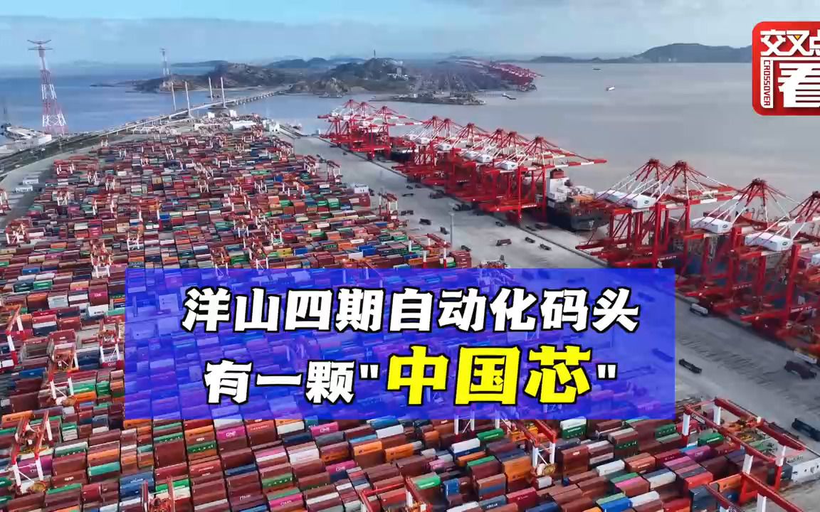 感知上海1小时|“智慧码头”的“中国芯”