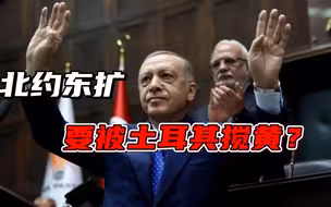 北欧两国入约落得一地鸡毛，土耳其拒不签字，瑞典首相怒掀桌子