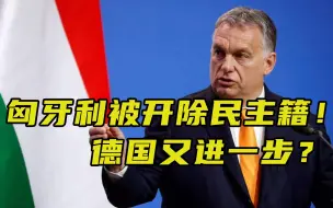 【每日读报】匈牙利被开除民主籍，德国又进一步？