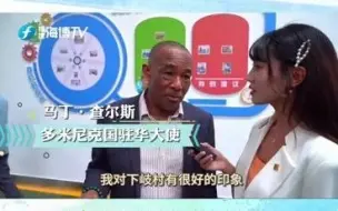 驻华使节代表团走进福建宁德下岐村
