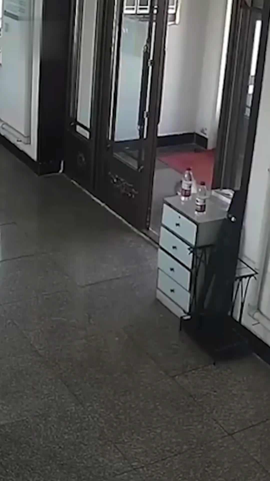 有事找警察！银狐被虫叮咬跑派出所求助