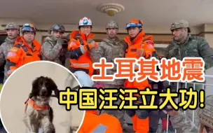 “Lucky”带来了lucky！中国公羊搜救犬发现一名幸存者！