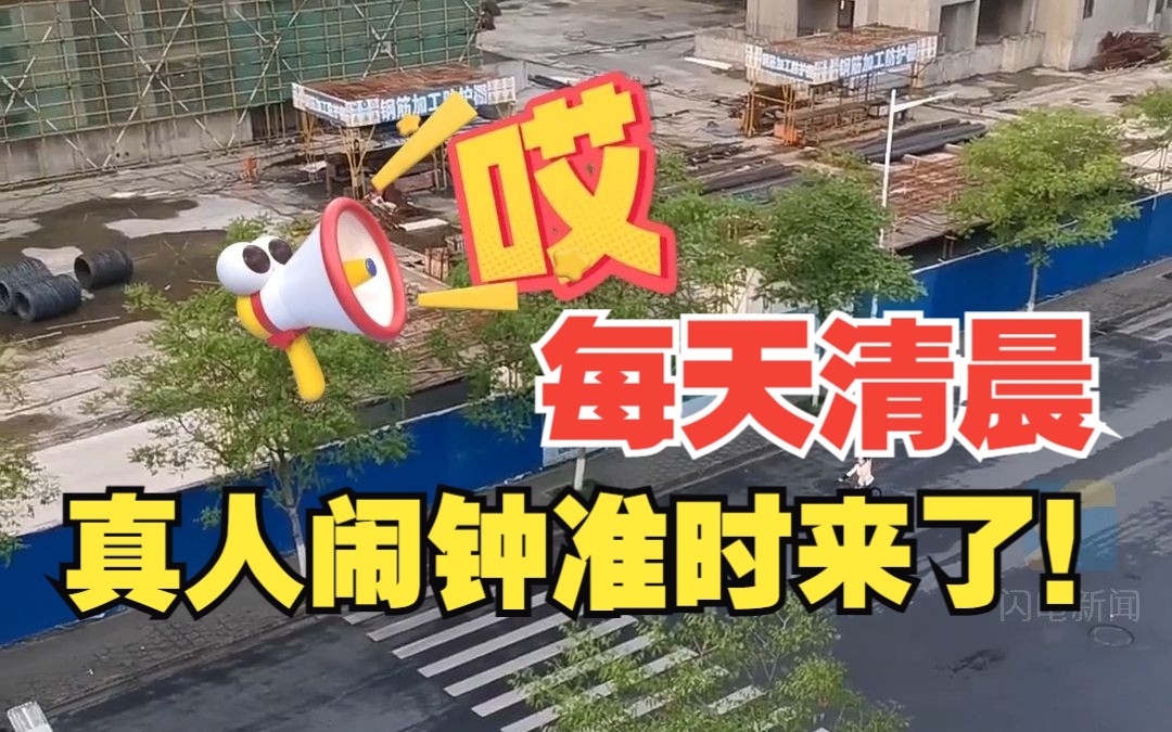 男子每天清晨被“真人闹钟”叫醒 一年365天除下大雨 从没停过