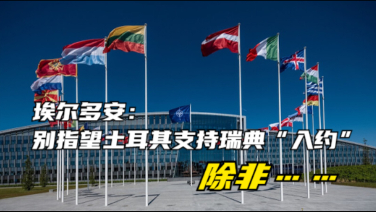 埃尔多安：别指望土耳其支持瑞典“入约”，除非……