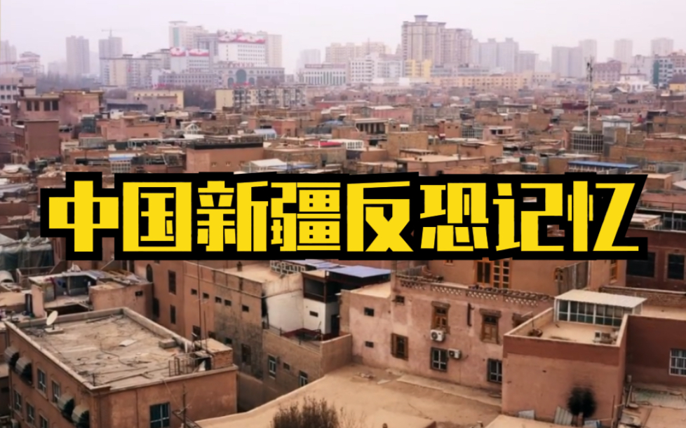 新疆反恐记忆纪录片