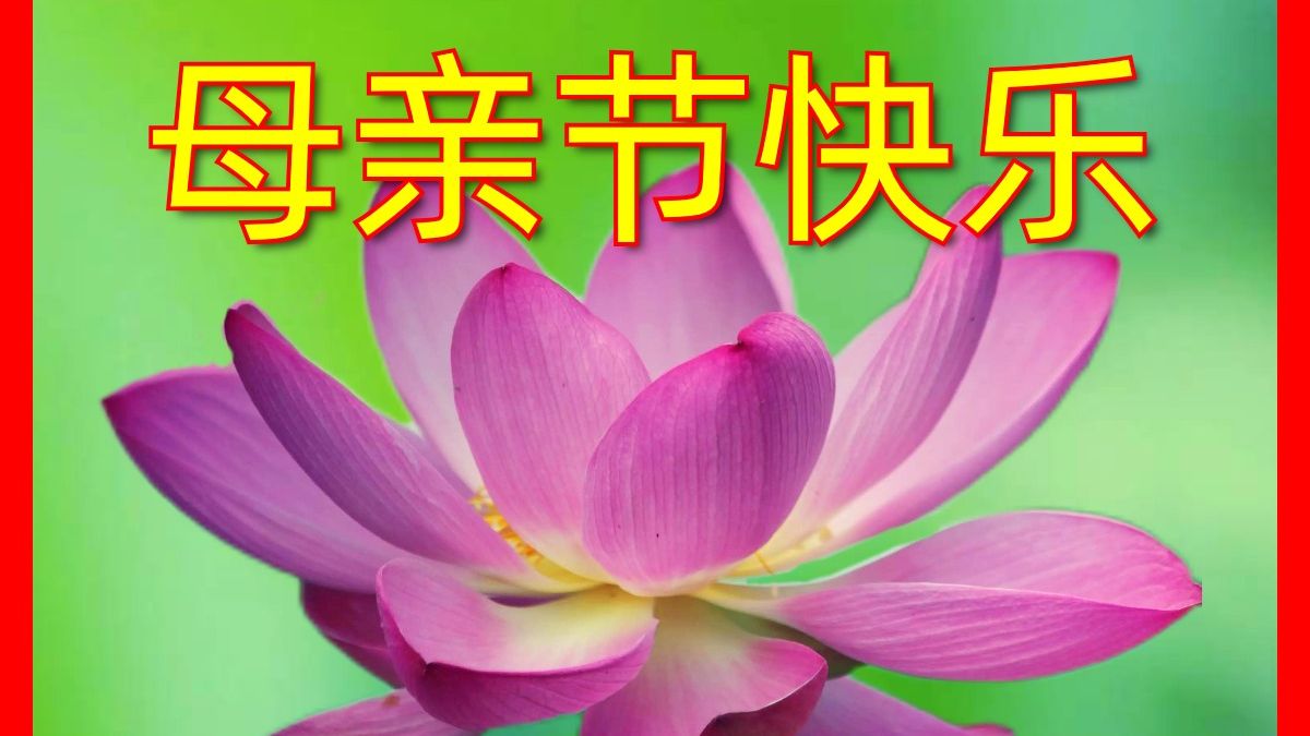 如果官方把账号交给70后小编