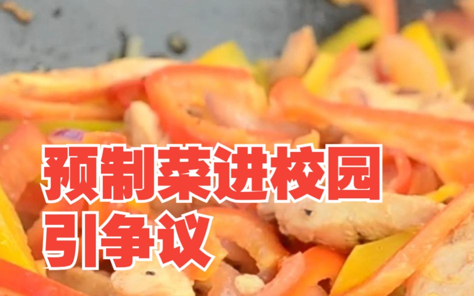 预制菜进校园引争议，有家长辞职送饭，对此，你怎么看？
