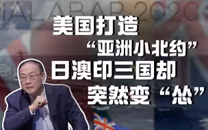 金灿荣：美国打造“亚洲小北约”，日澳印三国却突然变“怂”