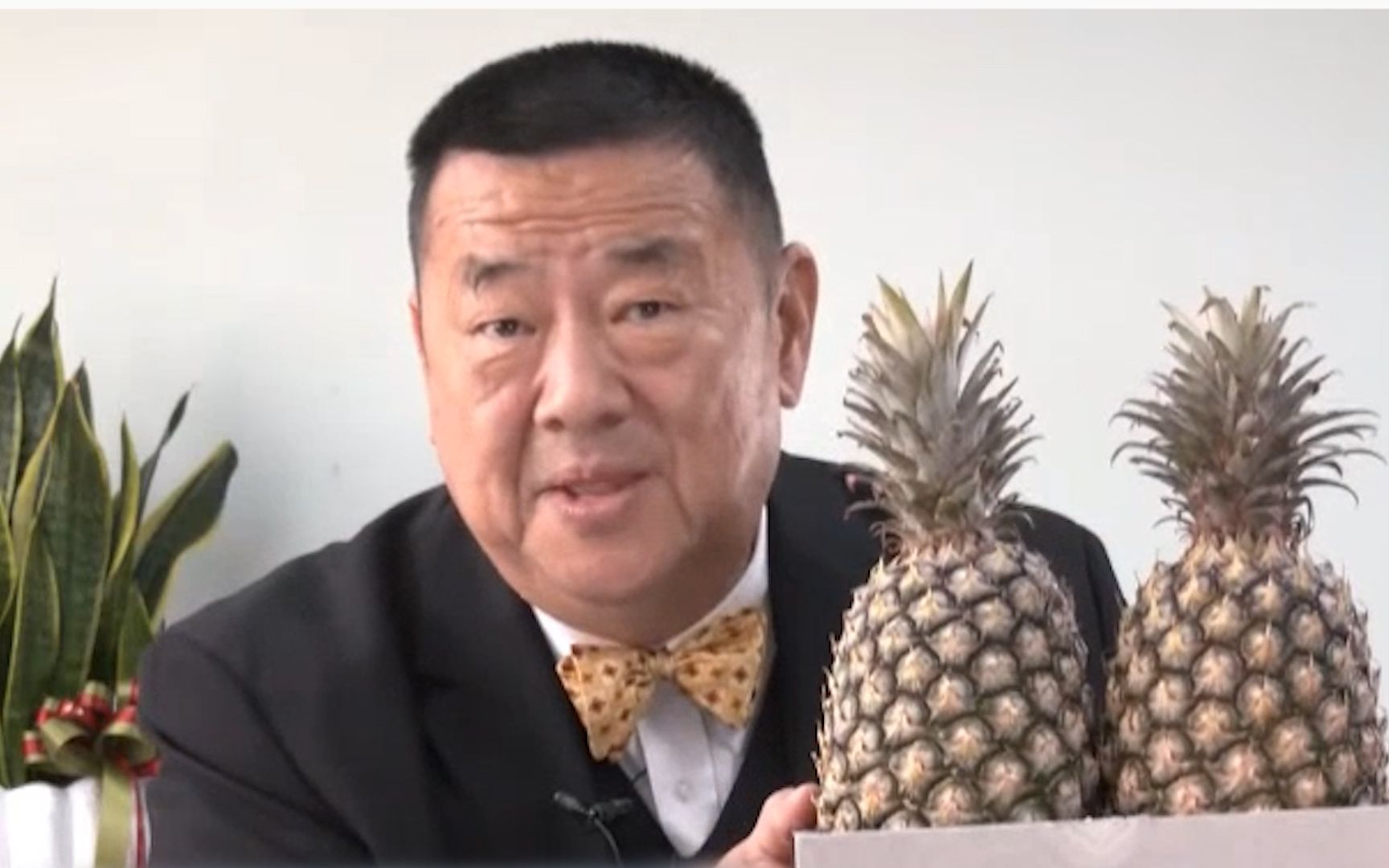 台名嘴戳破民进党谎言：病虫害才是禁菠萝原因，通知了十次都没人理