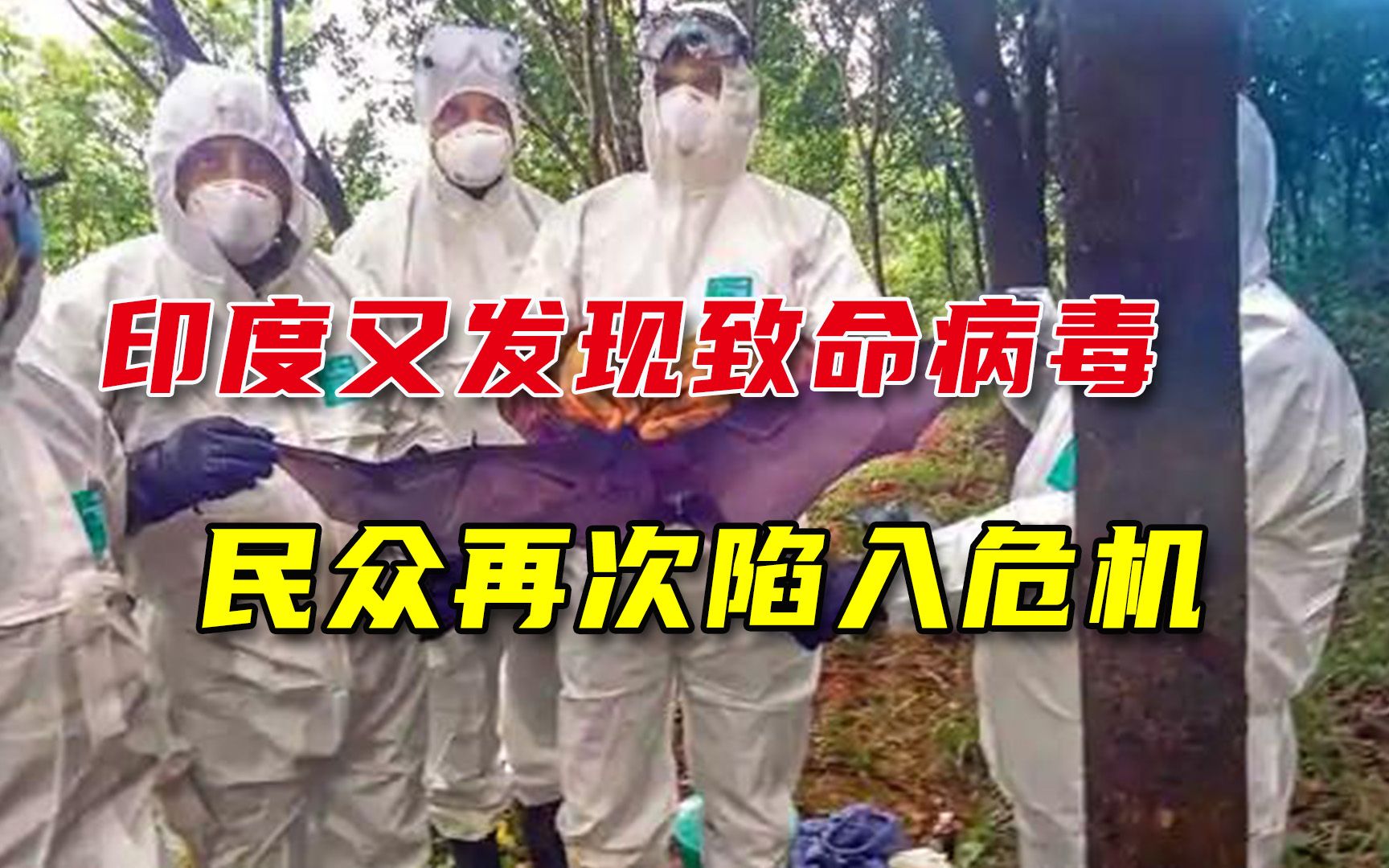 到底有完没完！印度又发现致命病毒，可怕程度绝对不输新冠