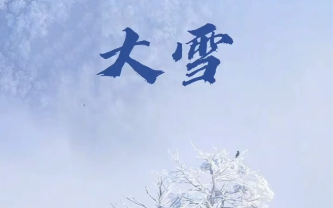 今日大雪，愿你初心如雪，不惧霜寒，岁月欢喜，炙热向上。