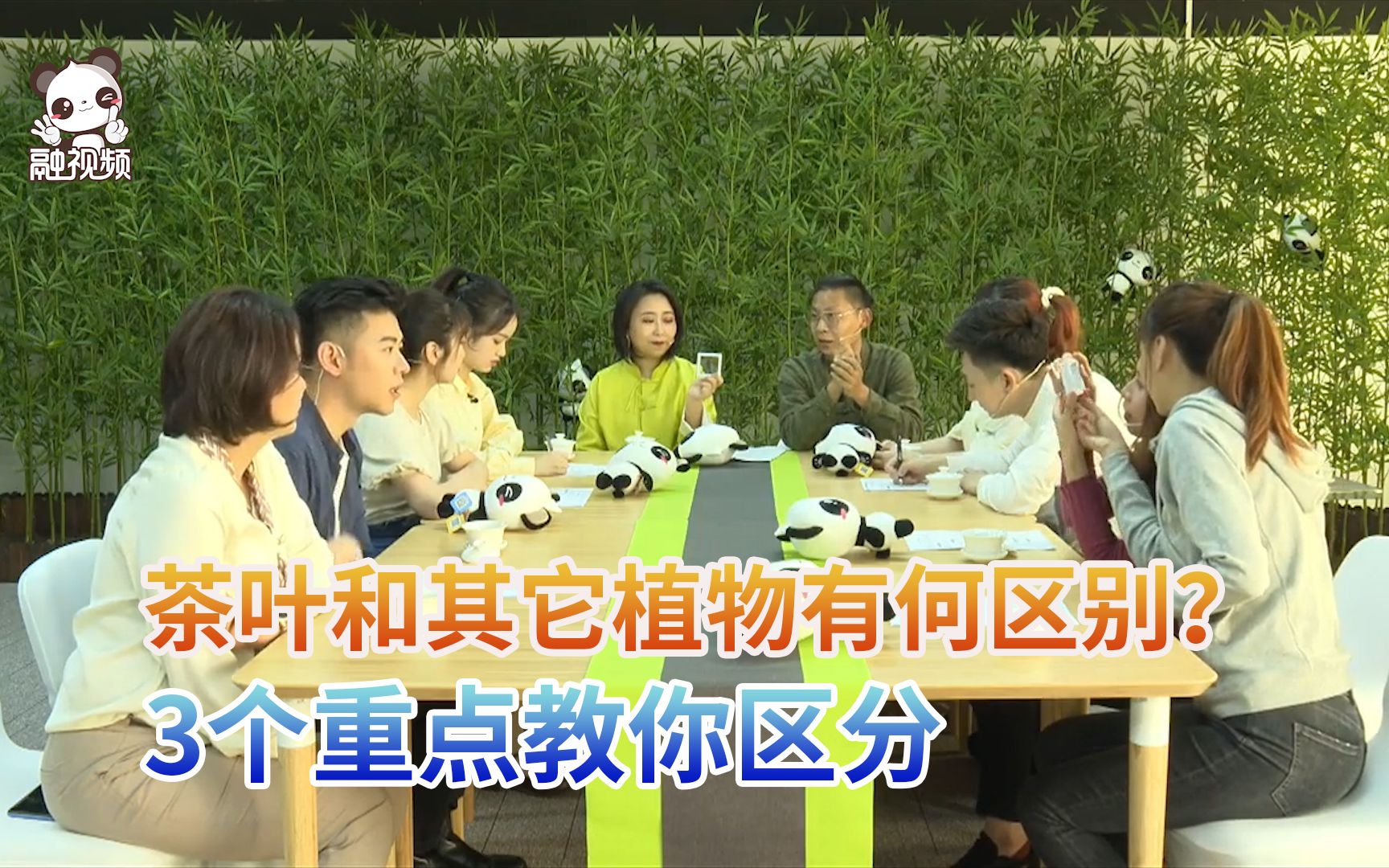 茶叶和其它植物有何区别？3个重点教你区分