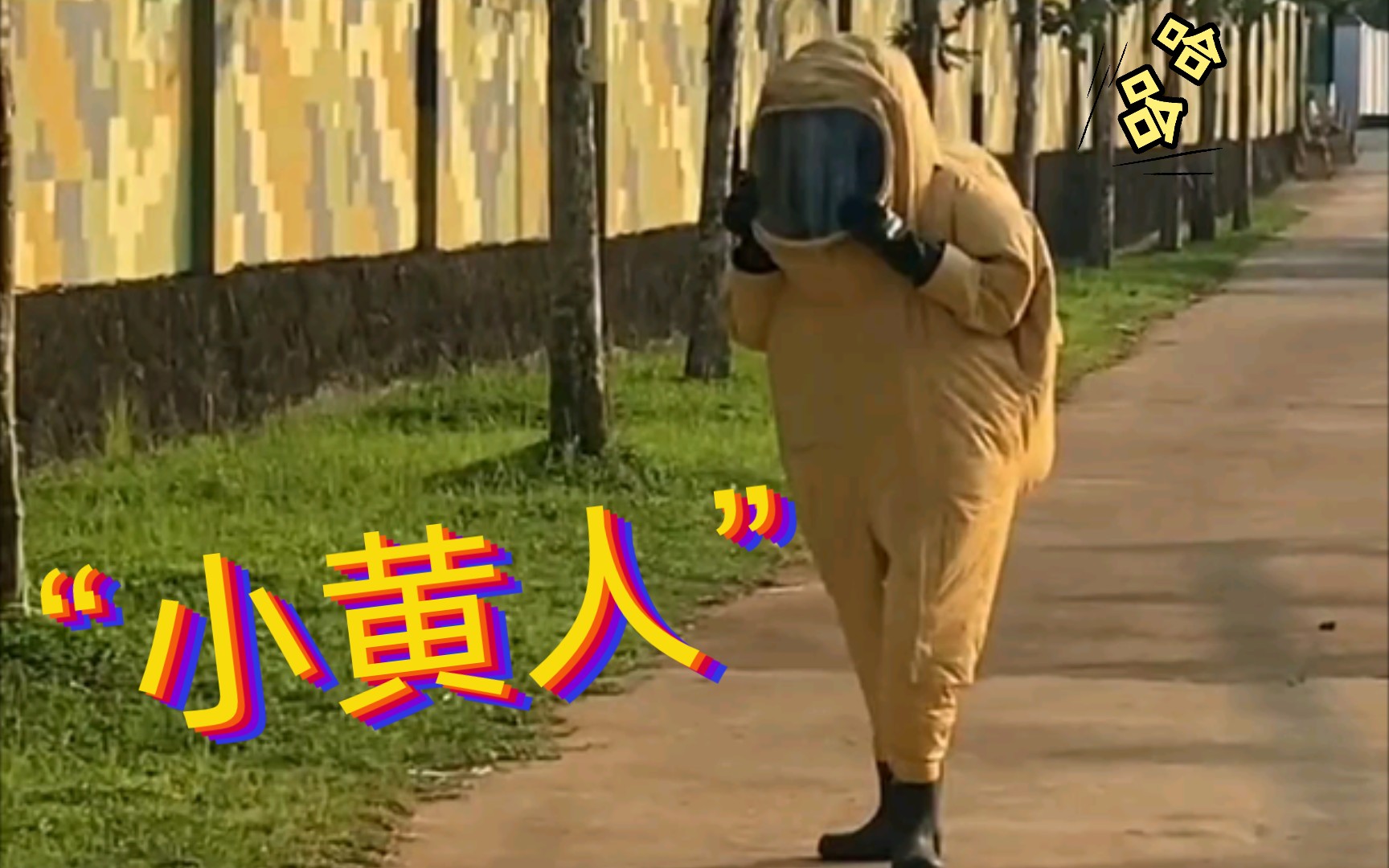 活捉一只训练场上的“小黄人”~~