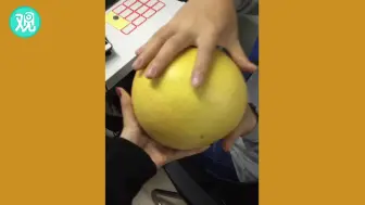中午食堂发的柚子，太惊喜了