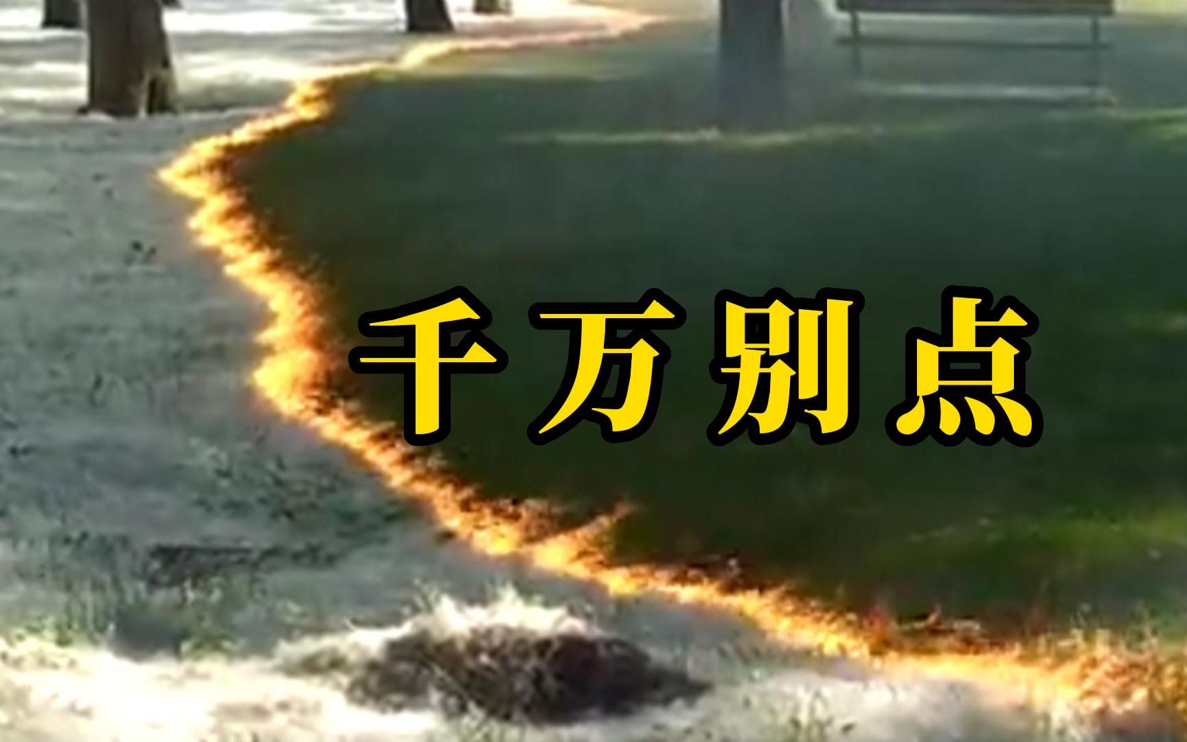 杨柳絮两秒即燃，有可能就是一个好奇就把自己送进去了