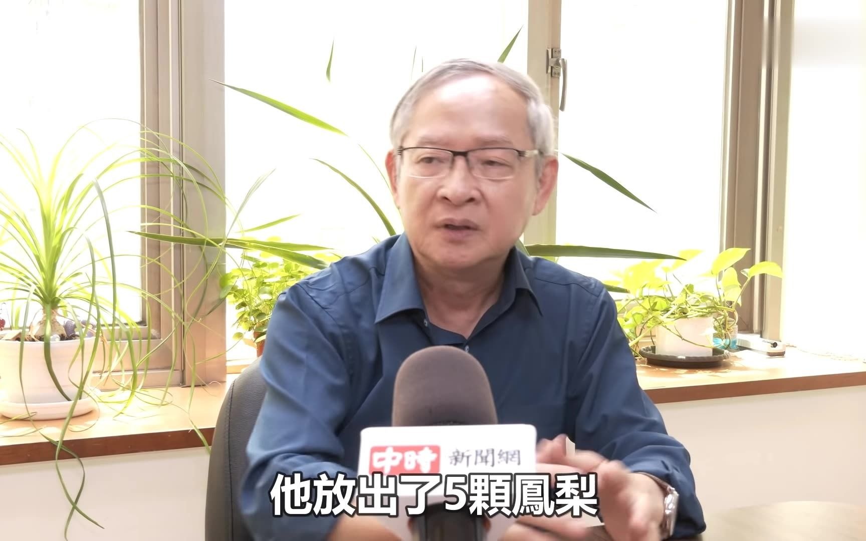蔡英文媚日送安倍菠萝！前蓝营民代讽：搞得像送外卖的，要这样讨好日本吗？