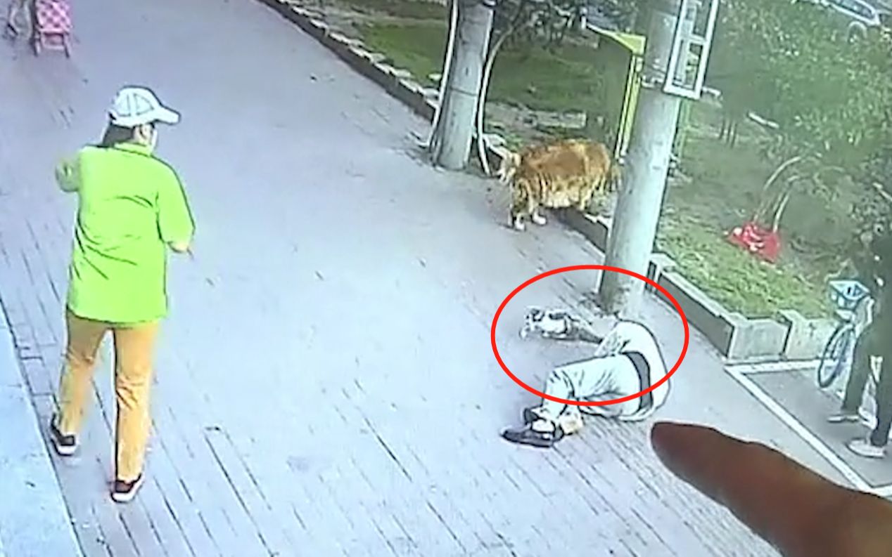理发店提供高空坠猫砸人监控，次日玻璃被砸 老板称已报警处理