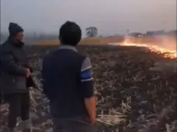 哈尔滨一田地发现被焚尸体？官方：69岁男子遭烧秸秆烟雾呛晕后死亡