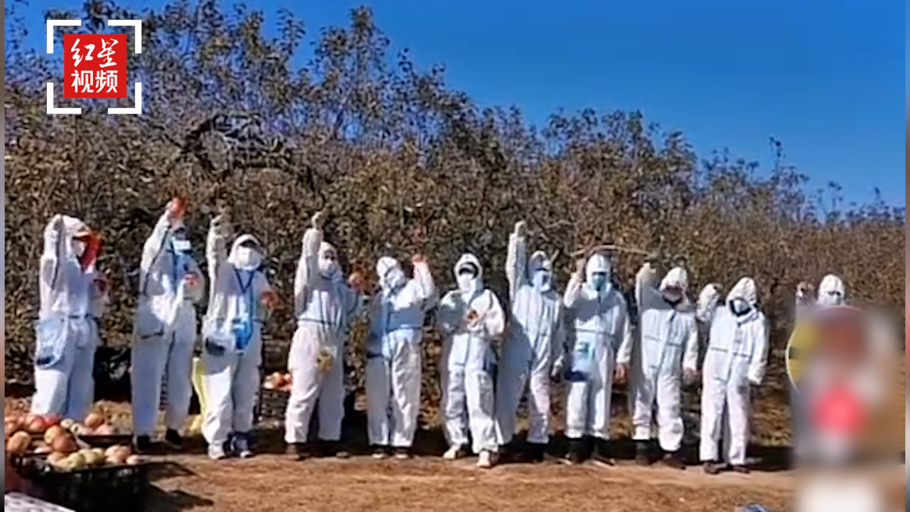 对话庄河大学城志愿者：现在比上班还积极 疫情不退我们不退