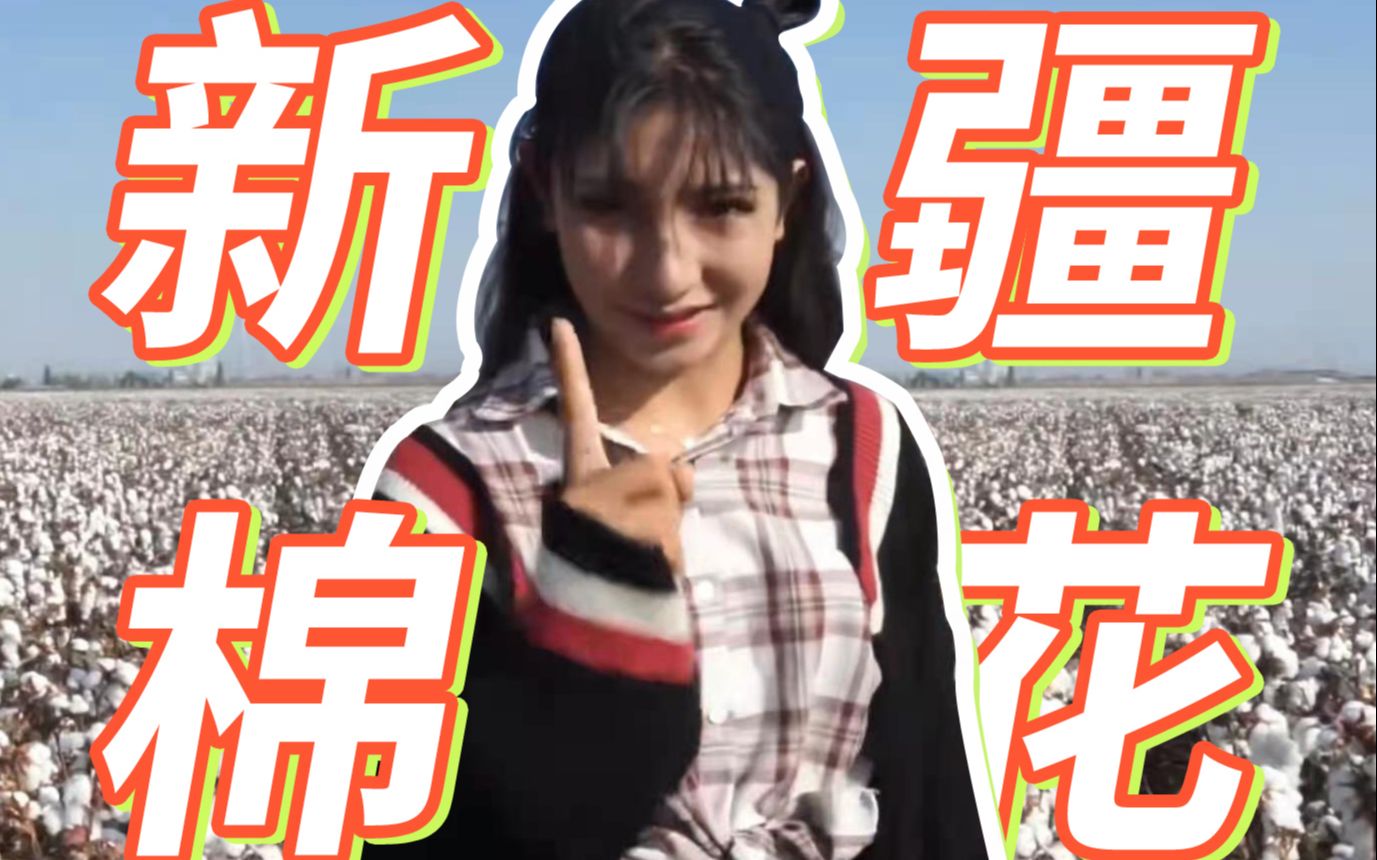 《关于某些人对新疆说三道四的时候人家在忙着收棉花的事》