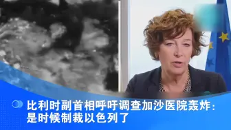 比利时副首相呼吁调查加沙医院轰炸：是时候制裁以色列了