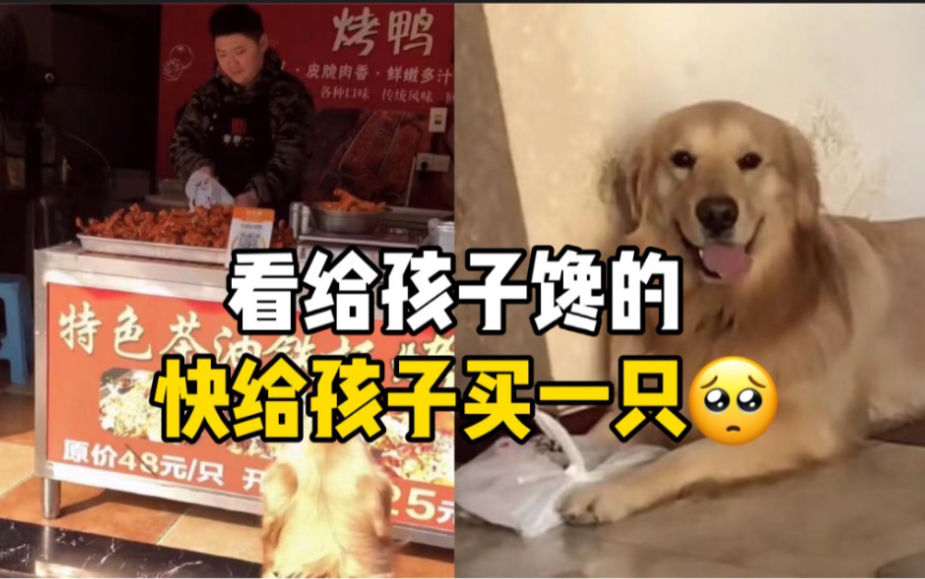 狗子蹲坐烤鸭炉前二十分钟，主人无奈终于妥协