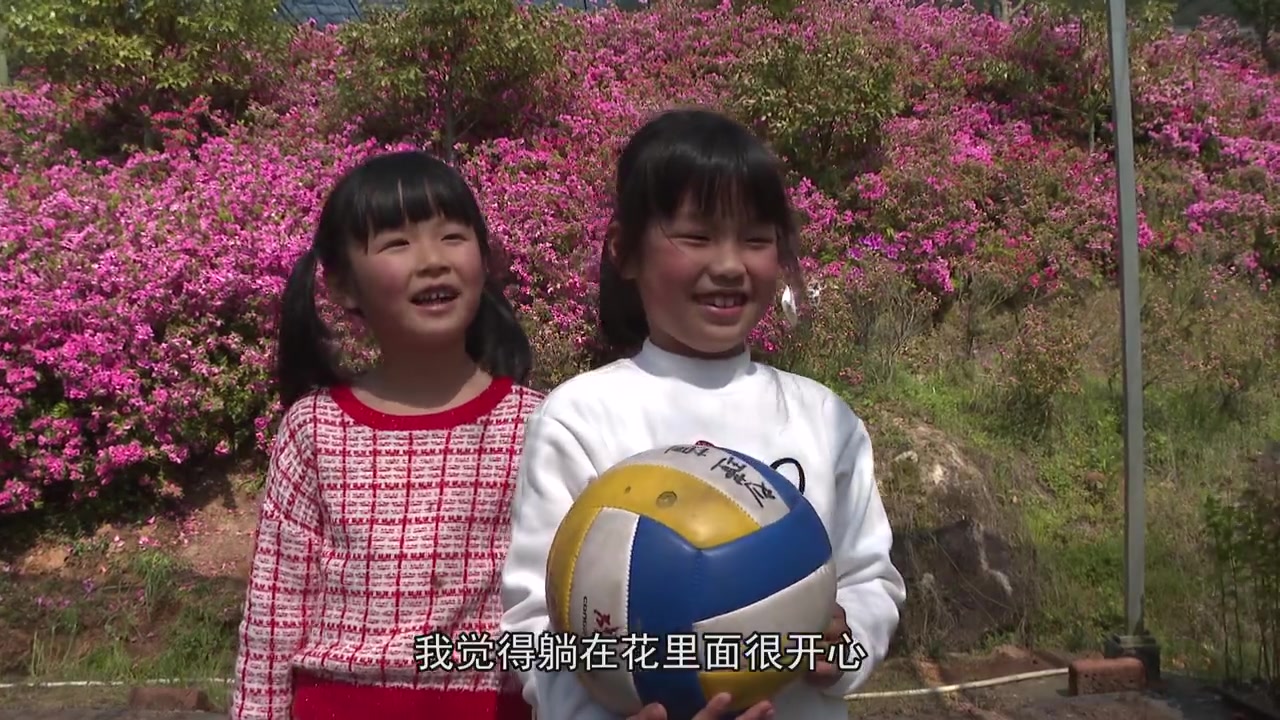 杜鹃花开美如画 游客踏春赏花忙
