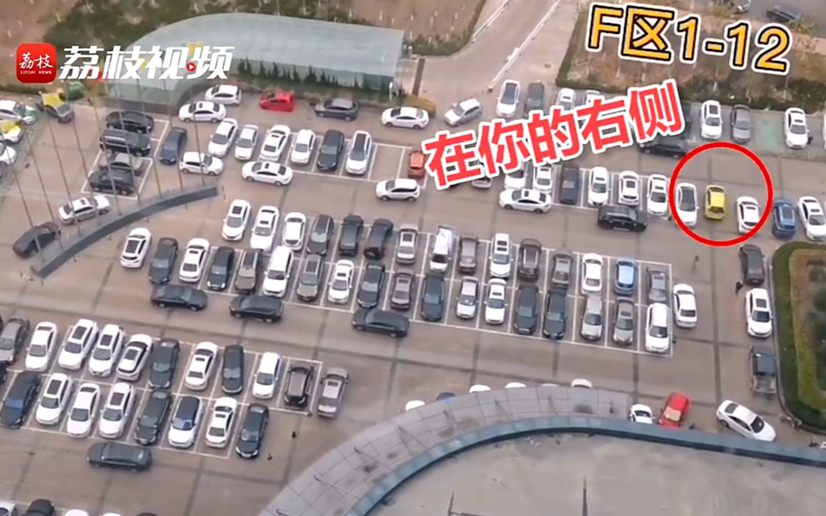 女子20楼遥控指挥同事停车 网友：一名合格的瞭望员多么重要