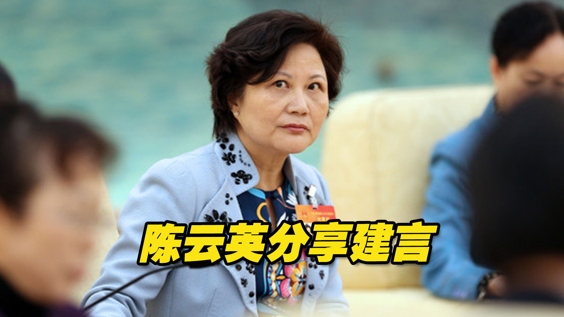 台湾省全国人大代表陈云英：最安全、最有利的地方是祖国大陆