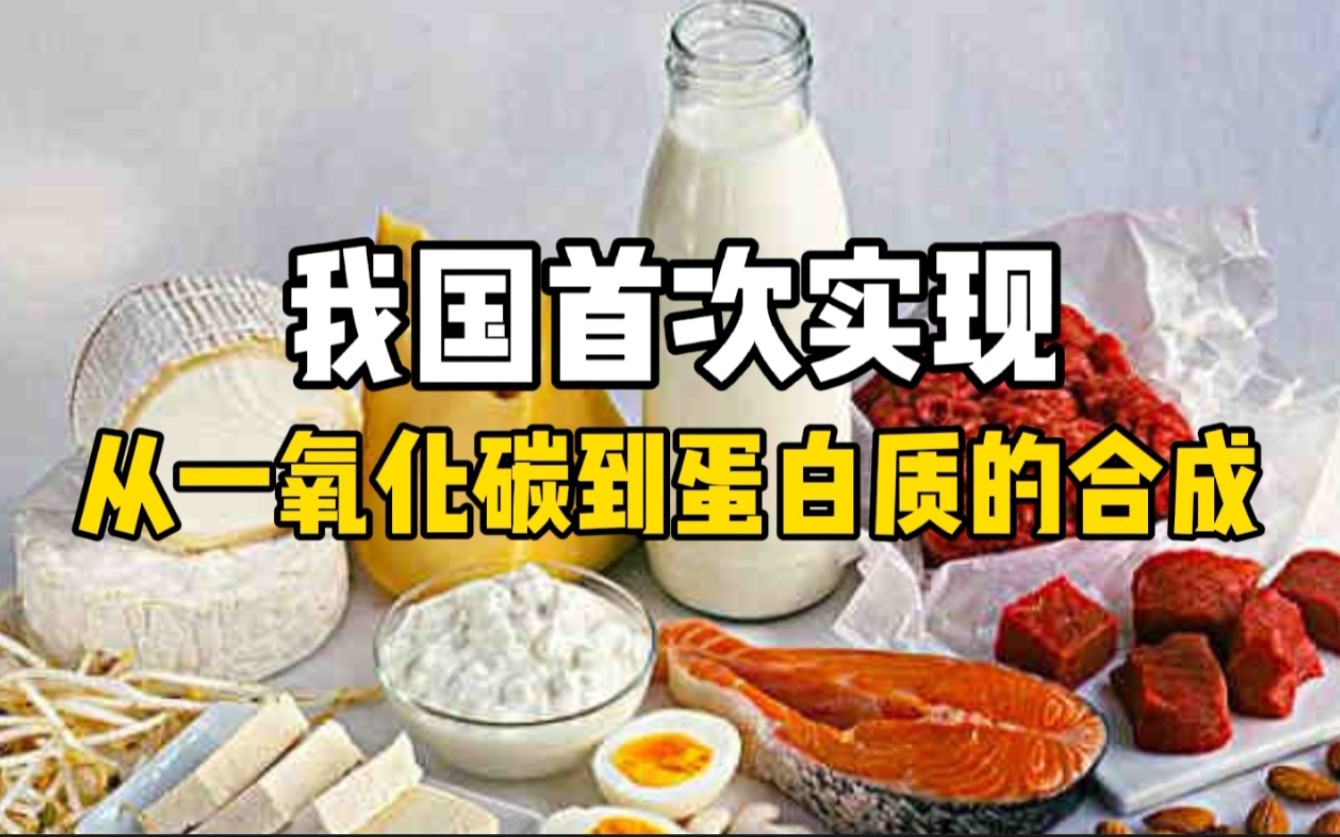 我国率先突破从一氧化碳到蛋白质合成 合成蛋白质可替代对进口大豆蛋白依赖