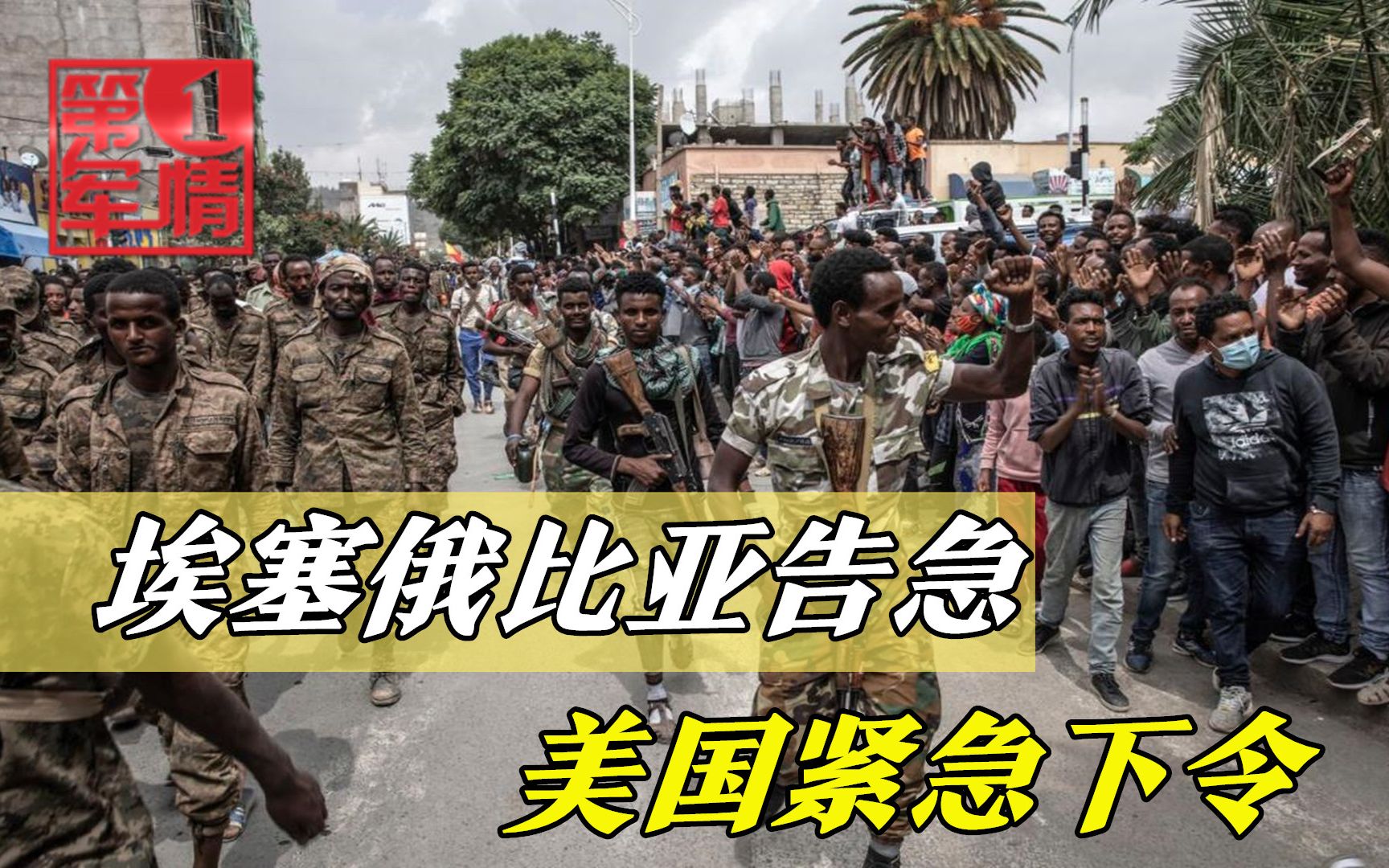 非洲数十万大军被俘，中国造武器被缴，总理御驾亲征，美紧急撤侨