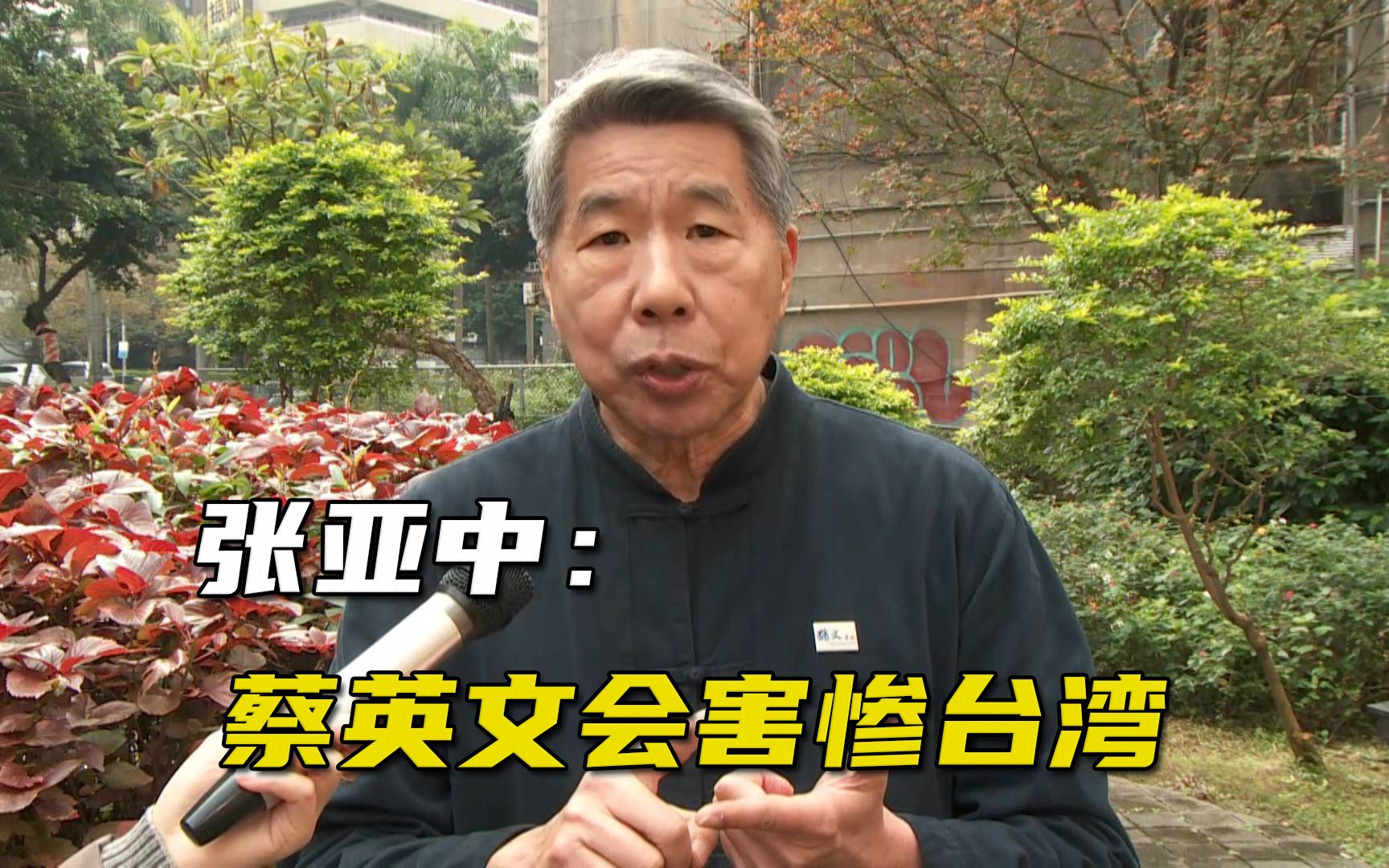 民进党当局一味配合美国打“台湾牌”，张亚中批蔡英文会害惨台湾