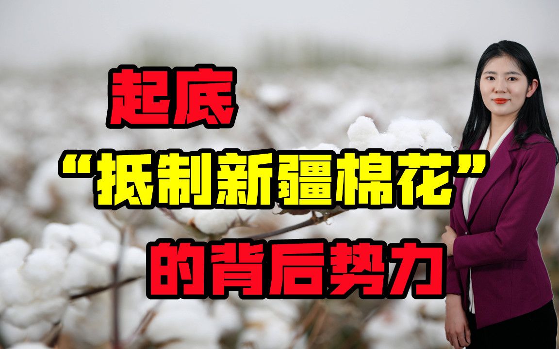 “抵制新疆棉花”，并非突然爆发，是西方势力设计了一年多的阴谋