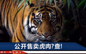 网传河南一男子售卖虎肉，朋友圈晒宰杀图片，警方介入！