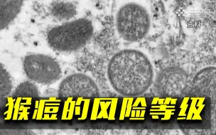 世卫组织将猴痘的全球公共卫生风险评估为中等