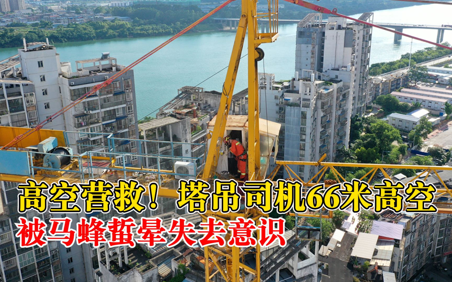 塔吊司机66米高空被马蜂蜇晕：晕倒前通过对讲机向地面求救