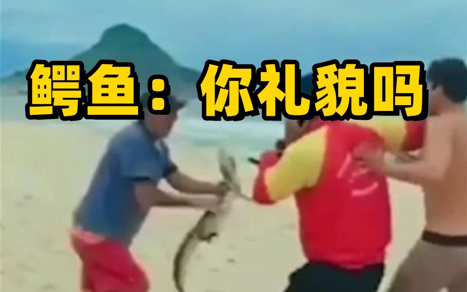 巴西男子打架拿鳄鱼当武器 最后被救生员强行控制