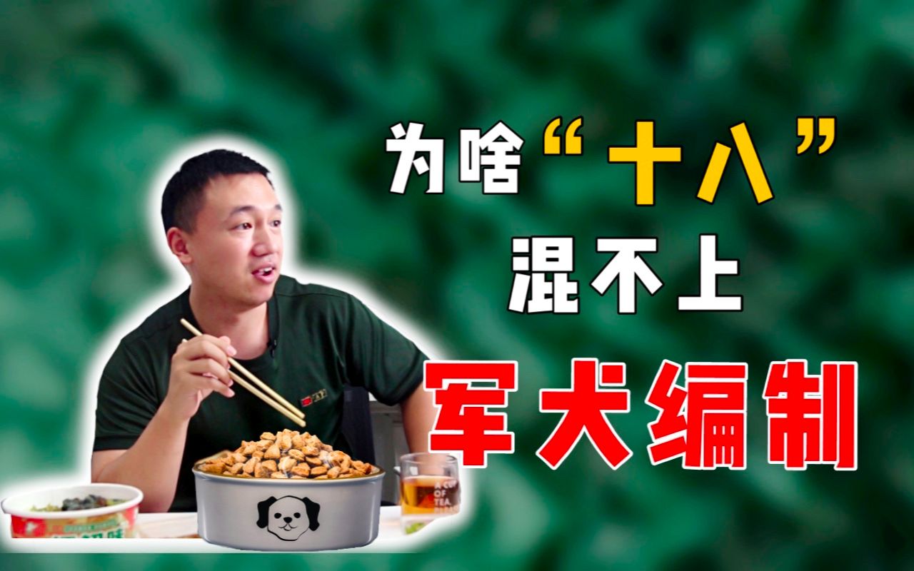 王班副带你揭秘小狗"十八"为啥混不上军犬编制！