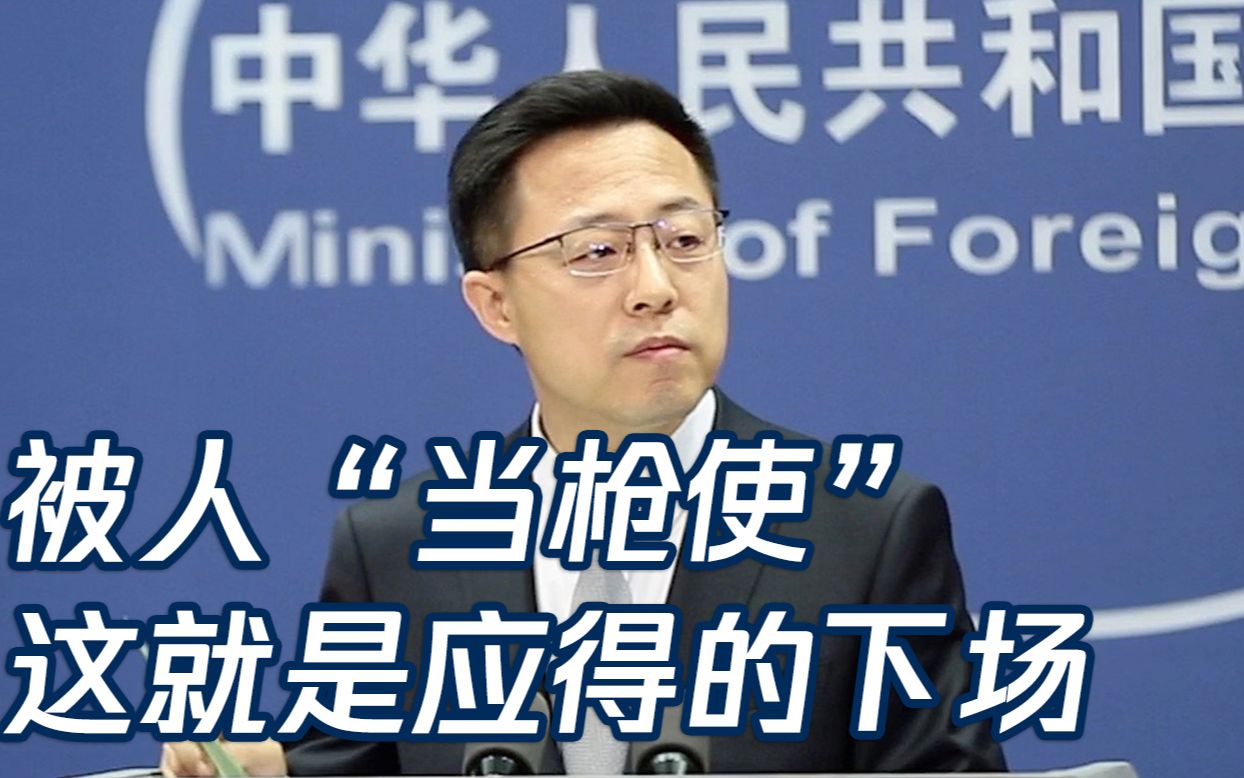 美国坐享澳在华市场份额，赵立坚：被人“当枪使” 这就是应得下场