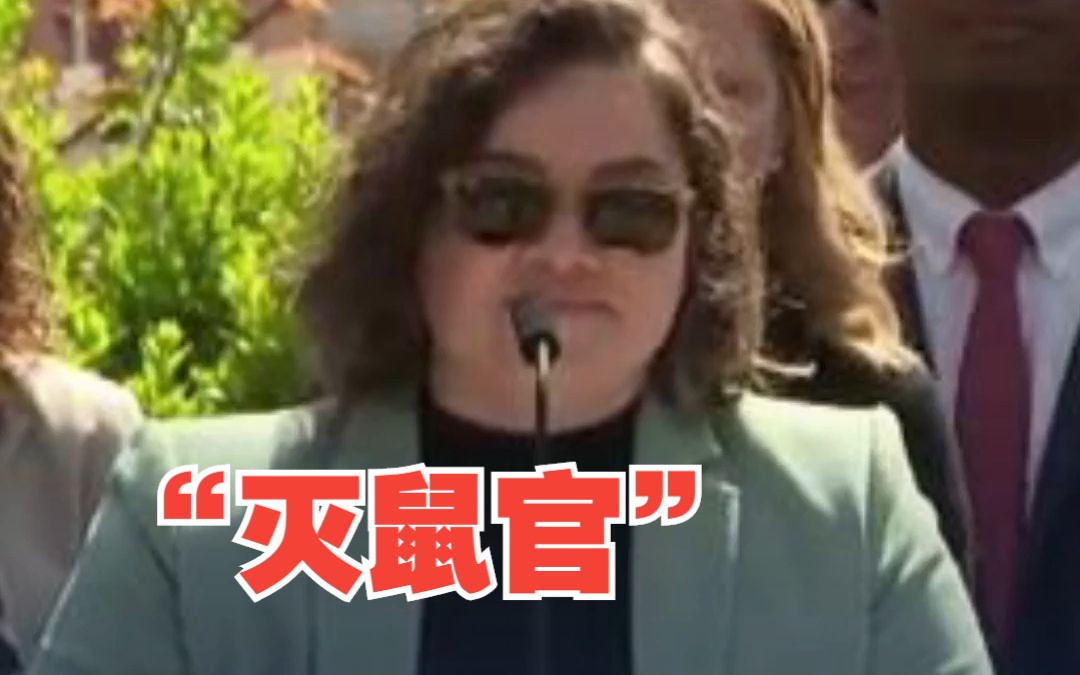 不堪鼠患，纽约任命“灭鼠官”，年薪最高达17万美元