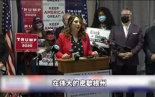 共和党在美国四州部署法律小组调查疑似计票违规