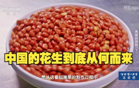 中国的花生到底从何而来至今没有确切的结论