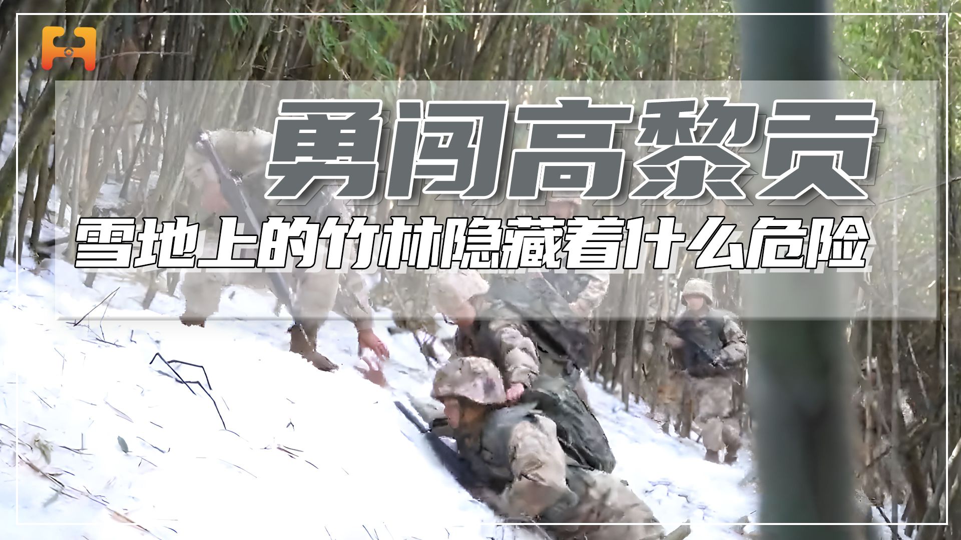 危险的边境巡逻！雪地上的竹林，隐藏着什么危险？