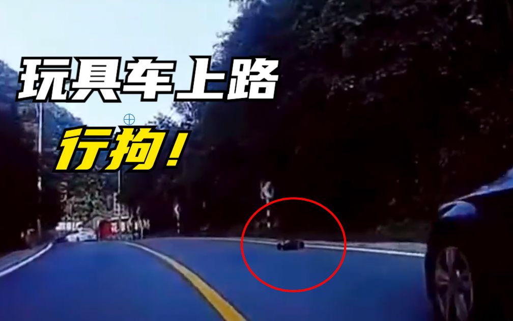 北京怀柔两人驾车遥控玩具车上路 叫嚣“警察都不管” 被行拘