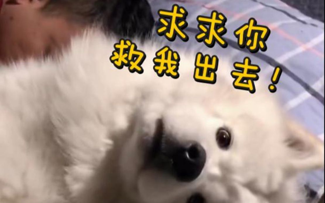 男子抱狗子睡觉鼾声如雷 狗子：救救我！