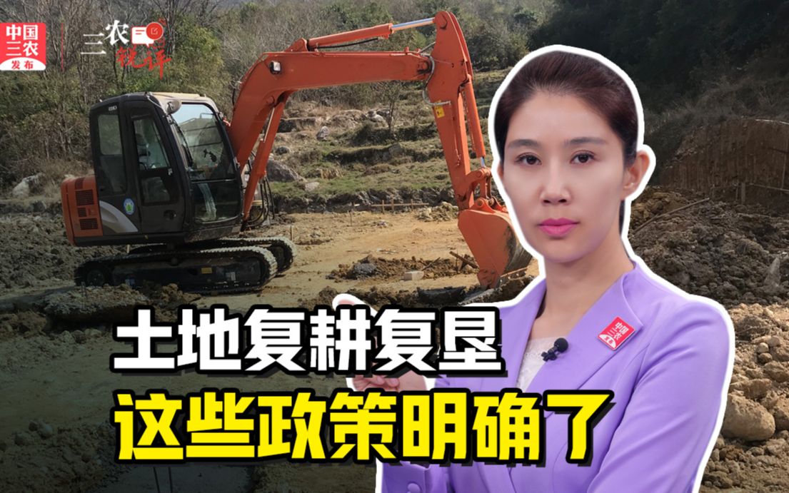 三农锐评丨土地复耕复垦 “严禁不顾农民意愿”“严禁不顾客观实际